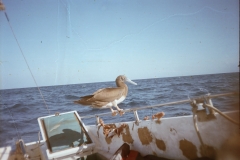 r001-001